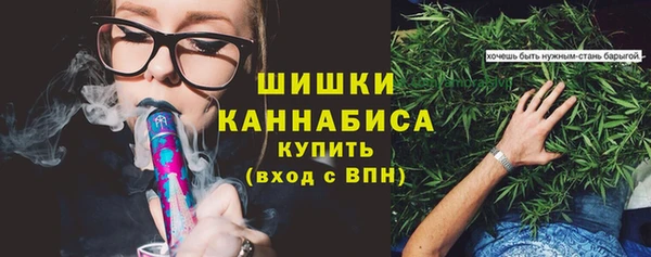 молекула духа Переславль-Залесский