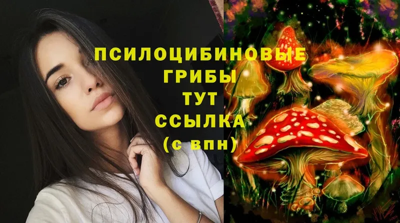 blacksprut tor  Котово  Галлюциногенные грибы Cubensis  цена наркотик 